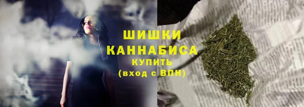 ПСИЛОЦИБИНОВЫЕ ГРИБЫ Арсеньев