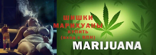 ПСИЛОЦИБИНОВЫЕ ГРИБЫ Арсеньев