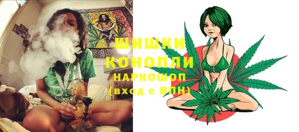 ПСИЛОЦИБИНОВЫЕ ГРИБЫ Арсеньев
