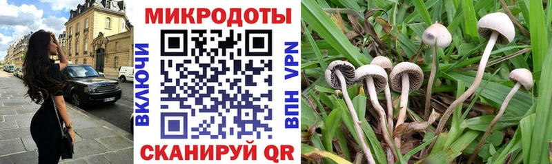 Купить  Сычёвка  Галлюциногенные грибы Magic Shrooms 